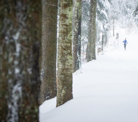 Festitrail-2023-SD@FOCUS-OUTDOOR-0005