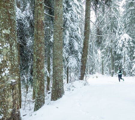 Festitrail-2023-SD@FOCUS-OUTDOOR-0018