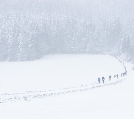 Festitrail-2023-SD@FOCUS-OUTDOOR-0033