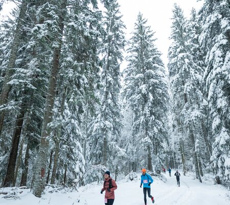 Festitrail-2023-SD@FOCUS-OUTDOOR-0058