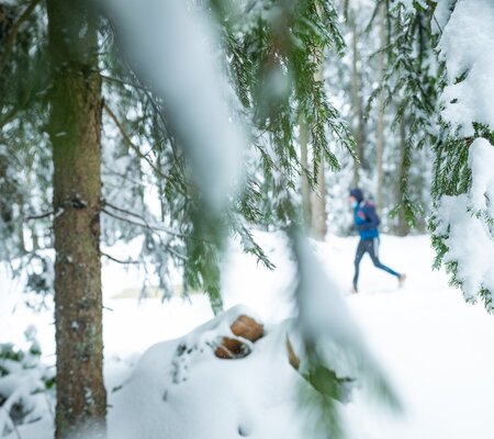 Festitrail-2023-SD@FOCUS-OUTDOOR-0062