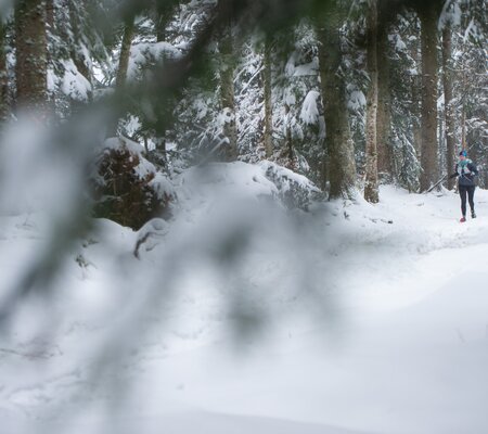 Festitrail-2023-SD@FOCUS-OUTDOOR-0066