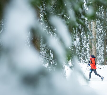 Festitrail-2023-SD@FOCUS-OUTDOOR-0081