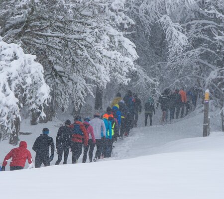 Festitrail-2023-SD@FOCUS-OUTDOOR-0101